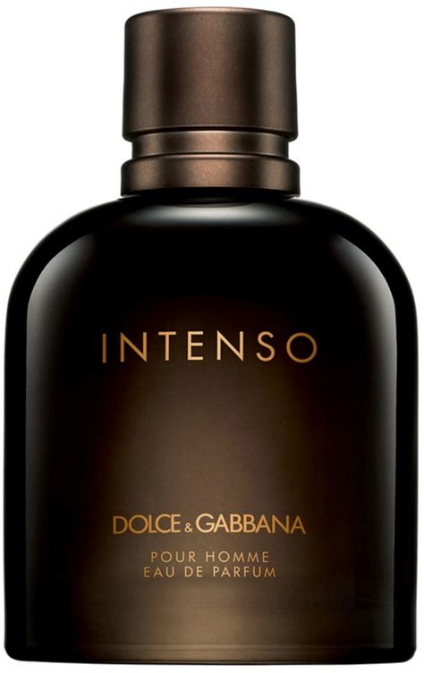 intenso dolce gabbana|intenso dolce gabbana for men.